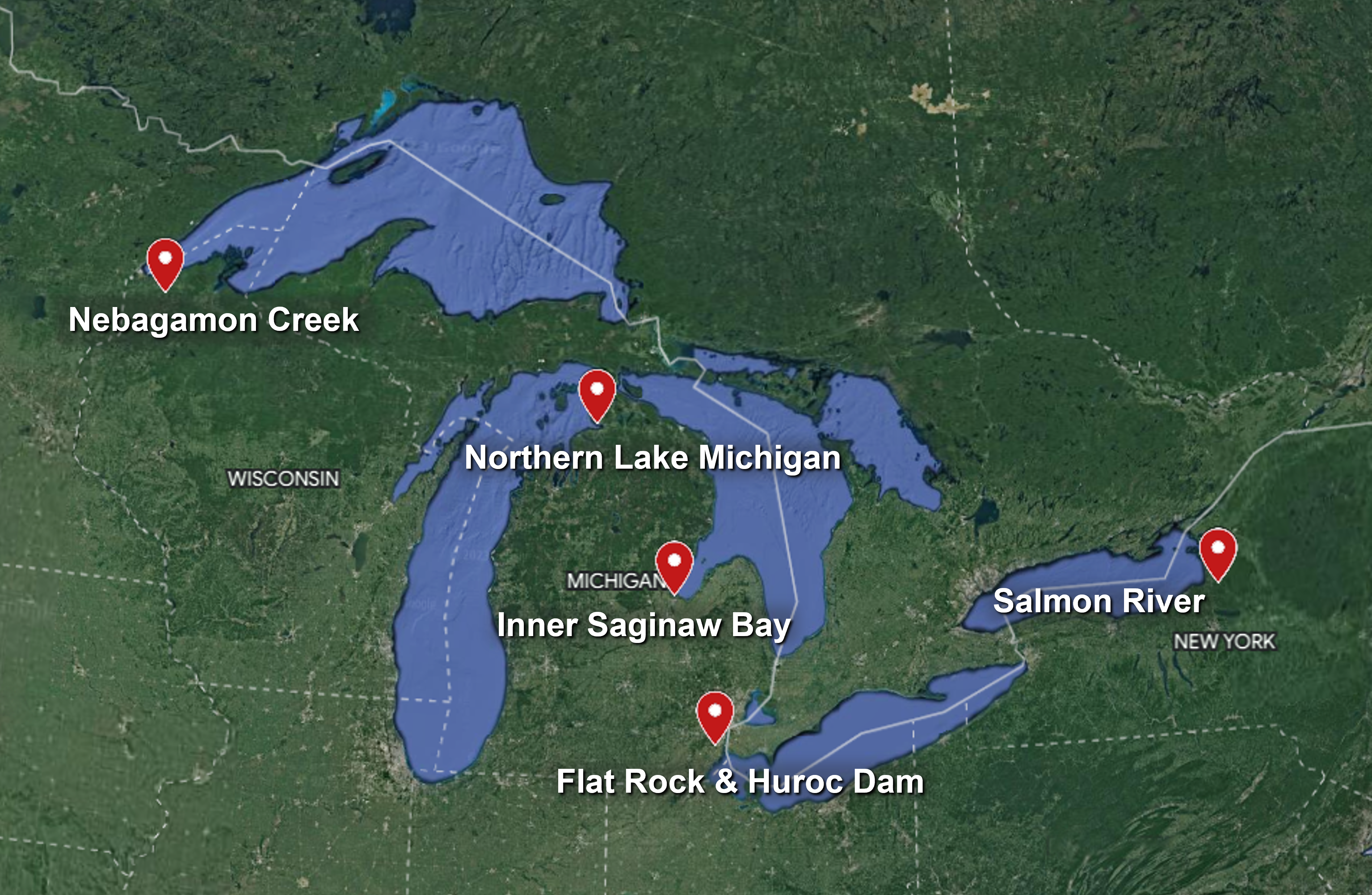 A map of the Great Lakes with five locations noted: Nebagamon Creek, Northern Lake Michigan, Inner Saginaw Bay, Flat Rock & Huroc Dam, and the Salmon River.